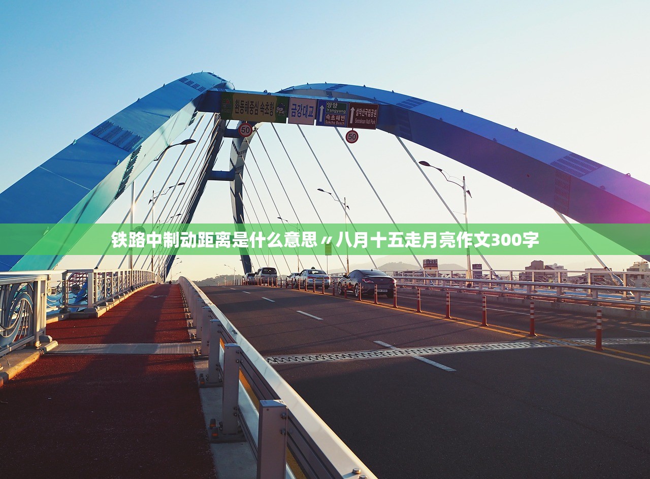铁路中制动距离是什么意思〃八月十五走月亮作文300字 铁路中制动距离是什么意思〃八月十五走月亮作文300字