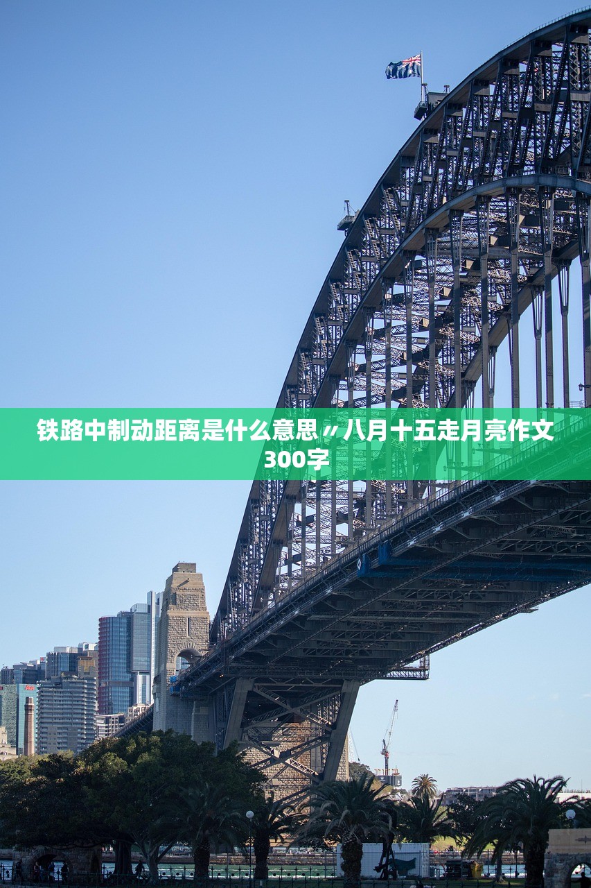 铁路中制动距离是什么意思〃八月十五走月亮作文300字 铁路中制动距离是什么意思〃八月十五走月亮作文300字