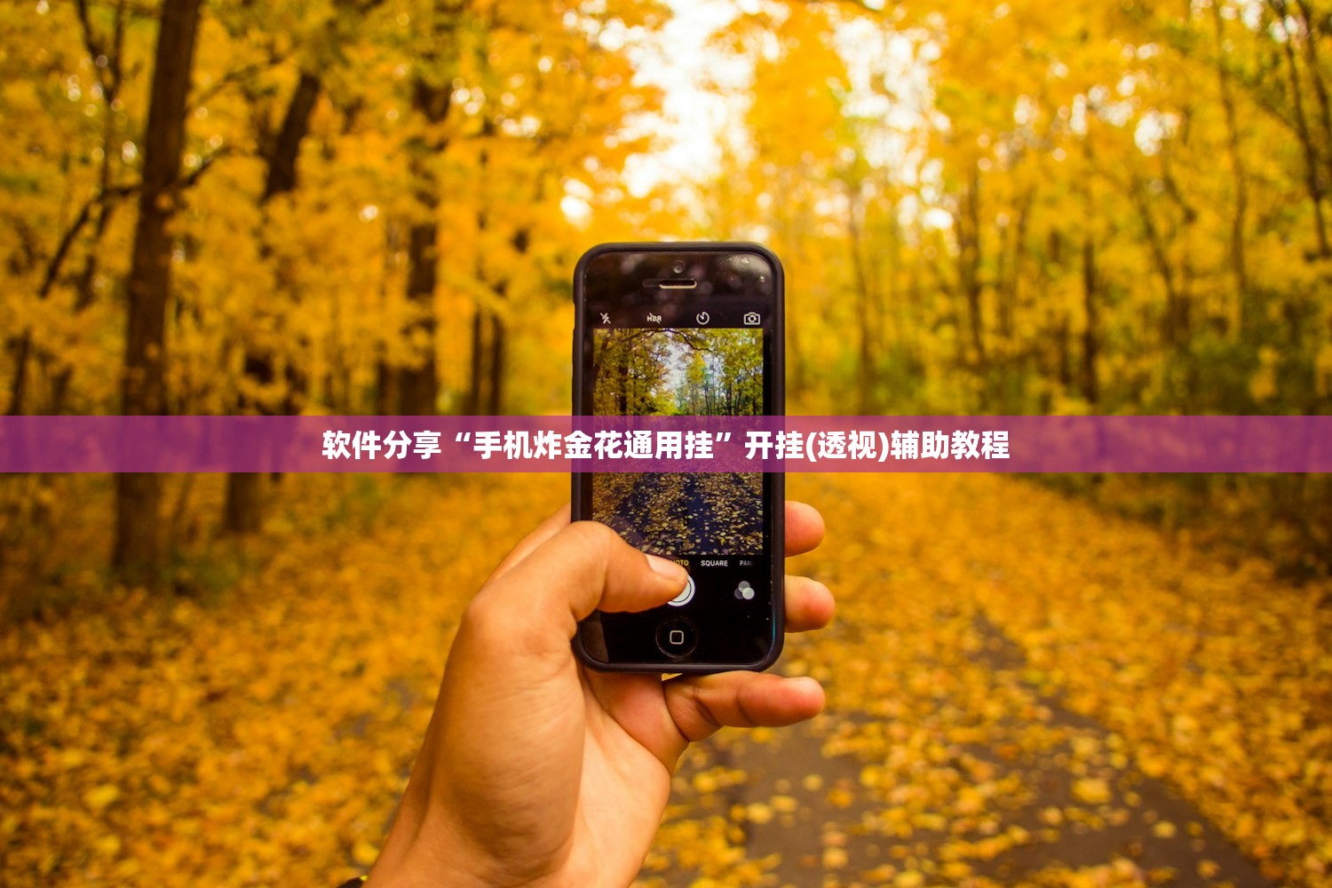 软件分享“手机炸金花通用挂	”开挂(透视)辅助教程