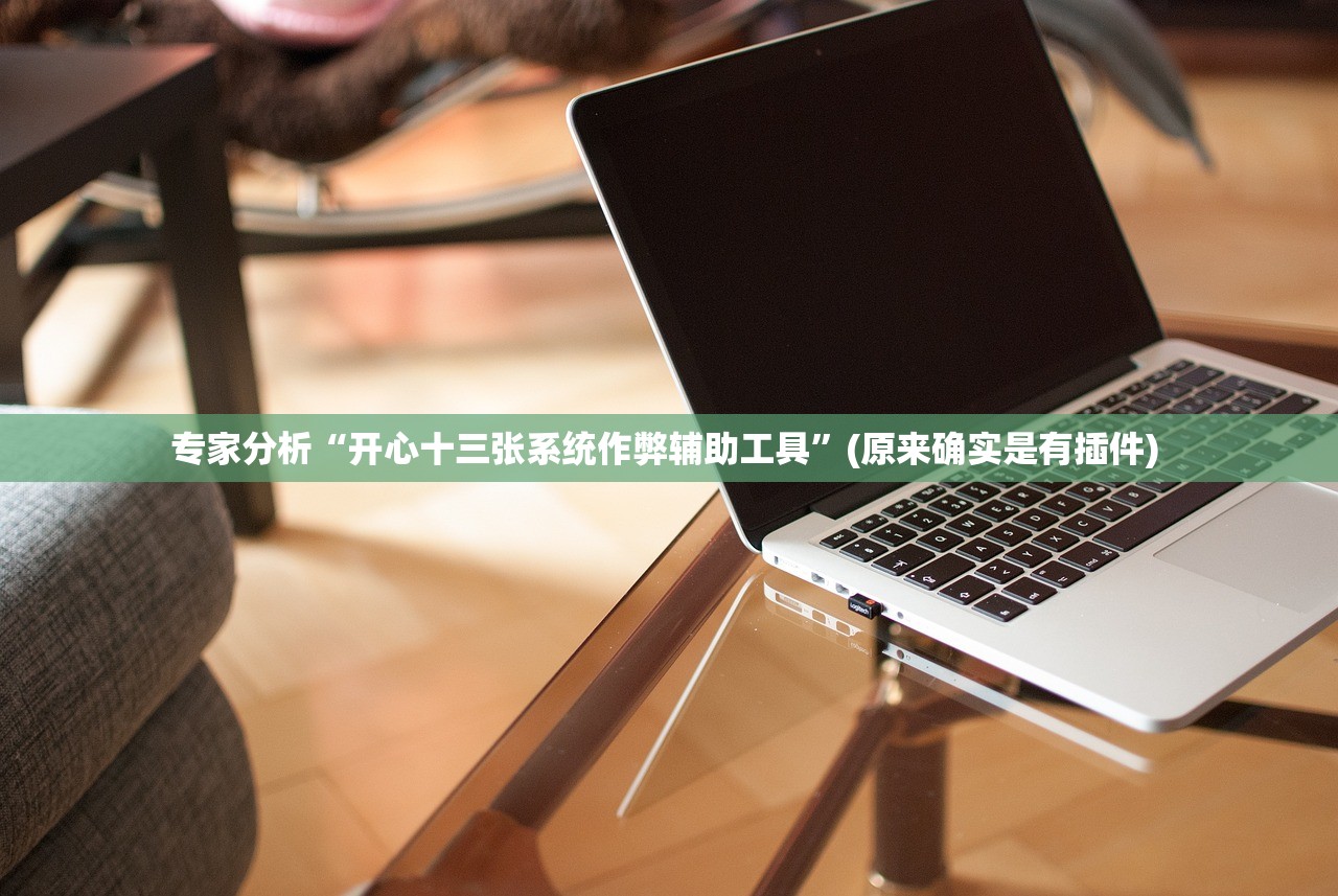 专家分析“开心十三张系统作弊辅助工具”(原来确实是有插件) 