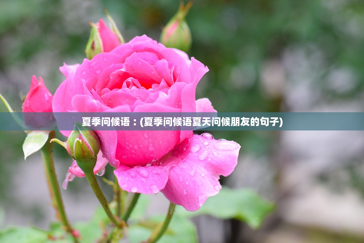 夏季问候语︰(夏季问候语夏天问候朋友的句子)