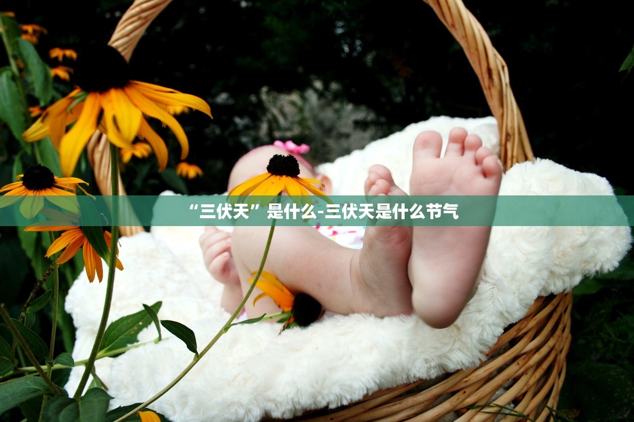 “三伏天	”是什么-三伏天是什么节气