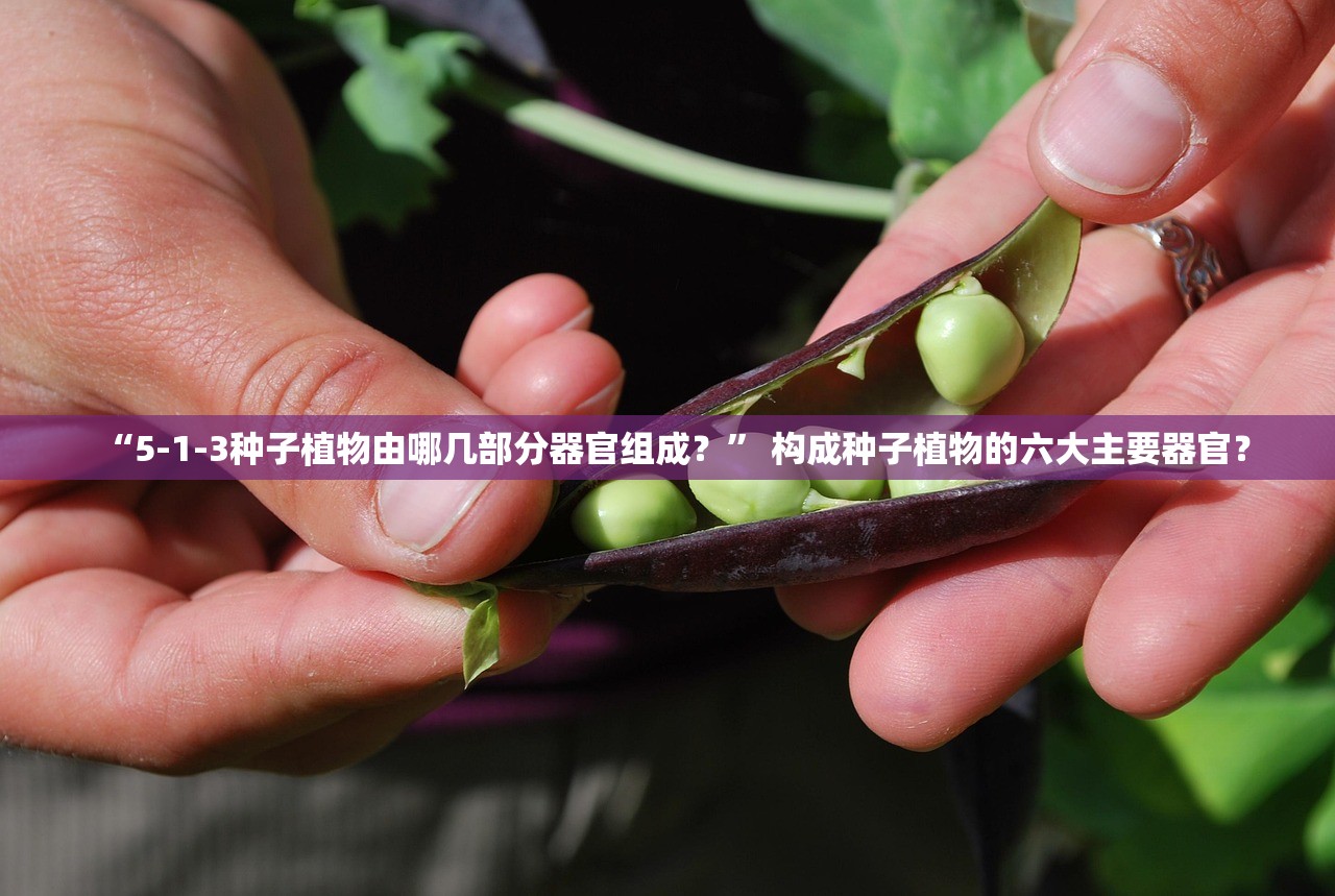 “5-1-3种子植物由哪几部分器官组成？” 构成种子植物的六大主要器官？