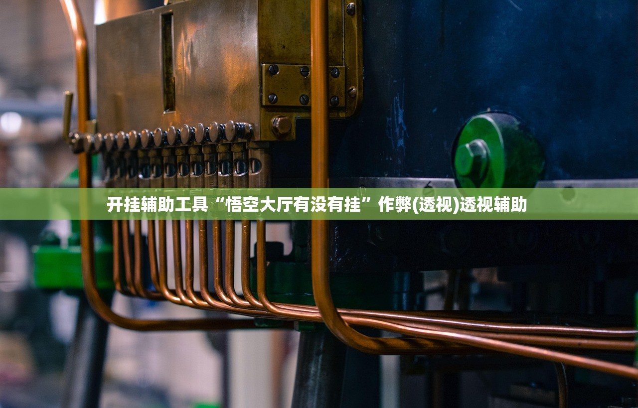 开挂辅助工具“悟空大厅有没有挂”作弊(透视)透视辅助 
