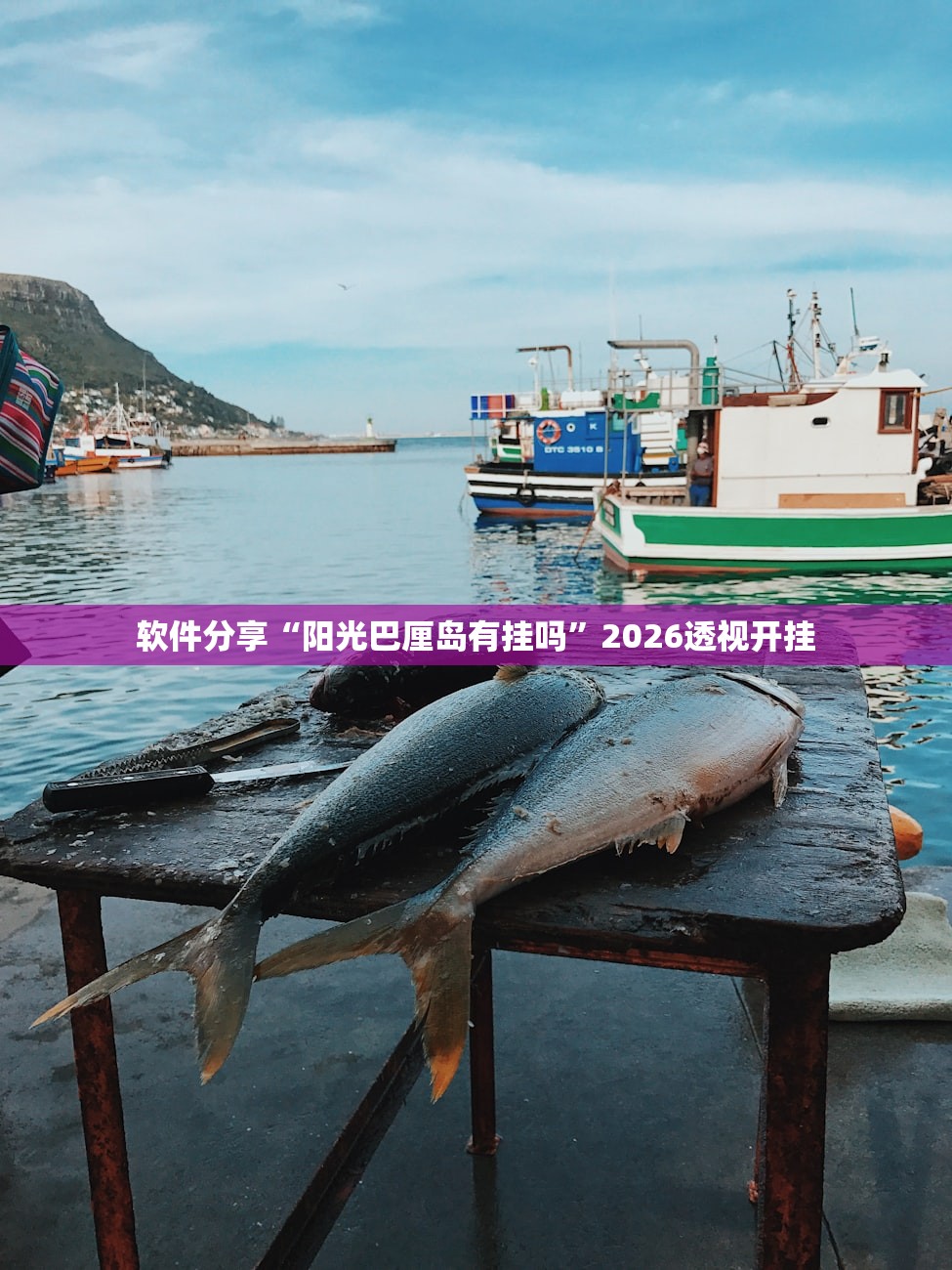 软件分享“阳光巴厘岛有挂吗”2026透视开挂