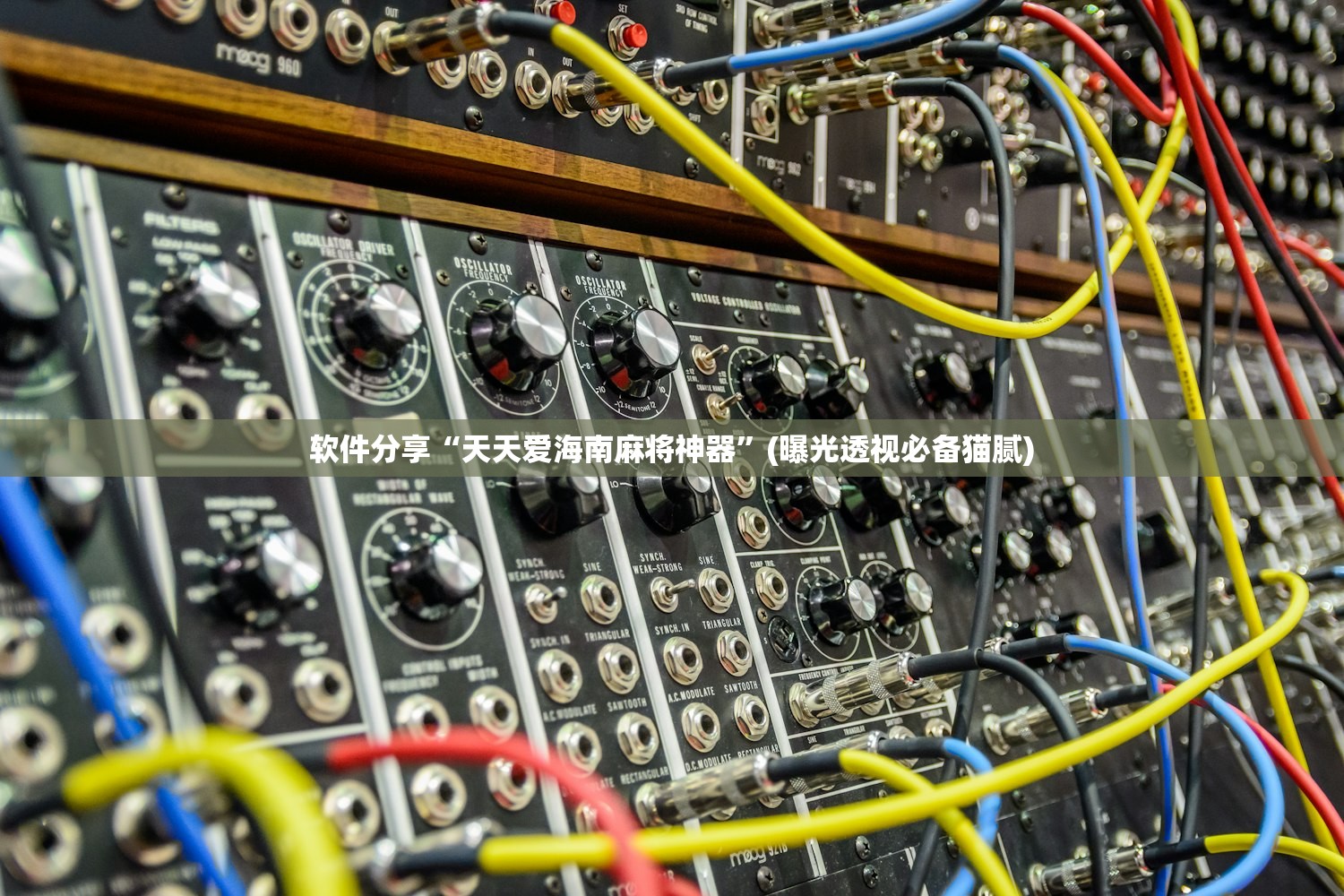 软件分享“天天爱海南麻将神器”(曝光透视必备猫腻)