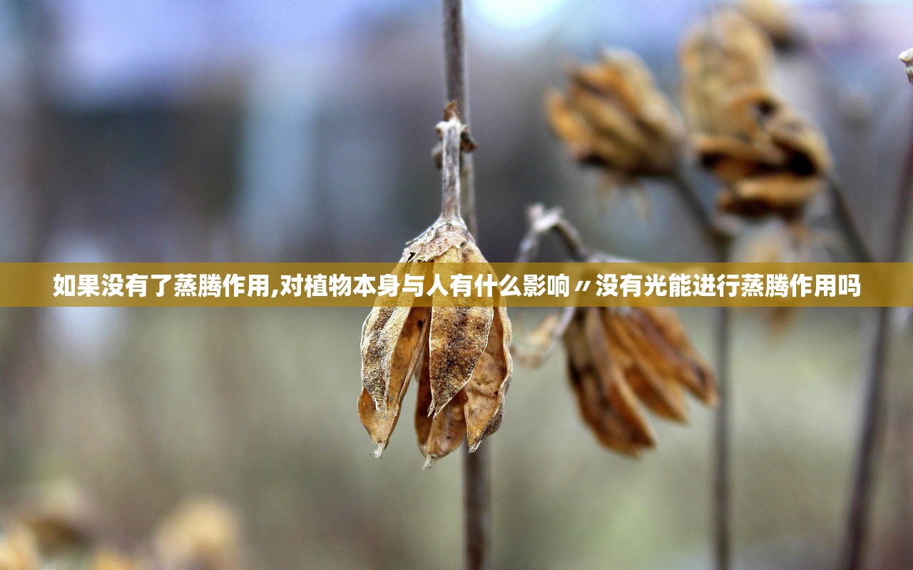 如果没有了蒸腾作用,对植物本身与人有什么影响〃没有光能进行蒸腾作用吗