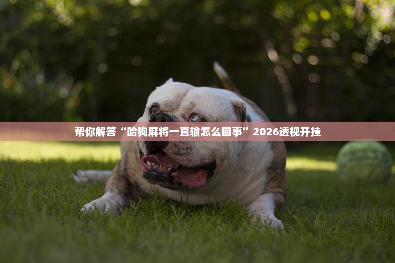 帮你解答“哈狗麻将一直输怎么回事”2026透视开挂
