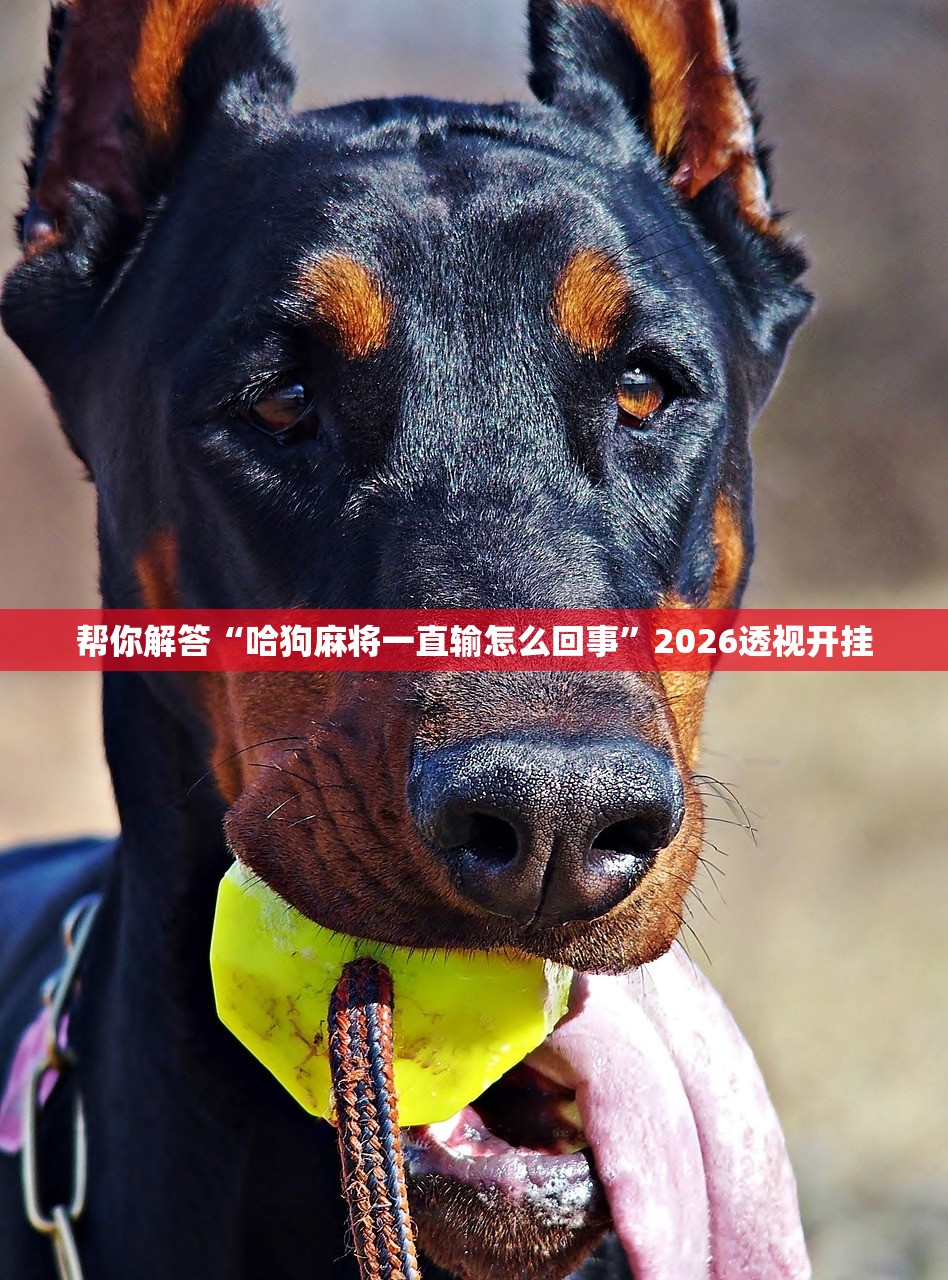 帮你解答“哈狗麻将一直输怎么回事”2026透视开挂