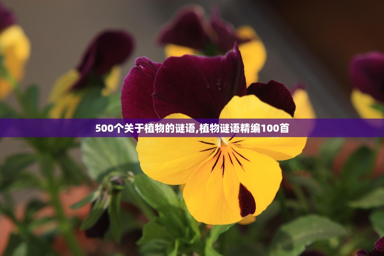 500个关于植物的谜语,植物谜语精编100首