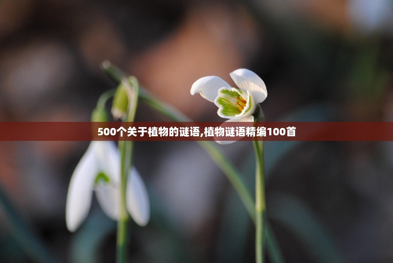 500个关于植物的谜语,植物谜语精编100首