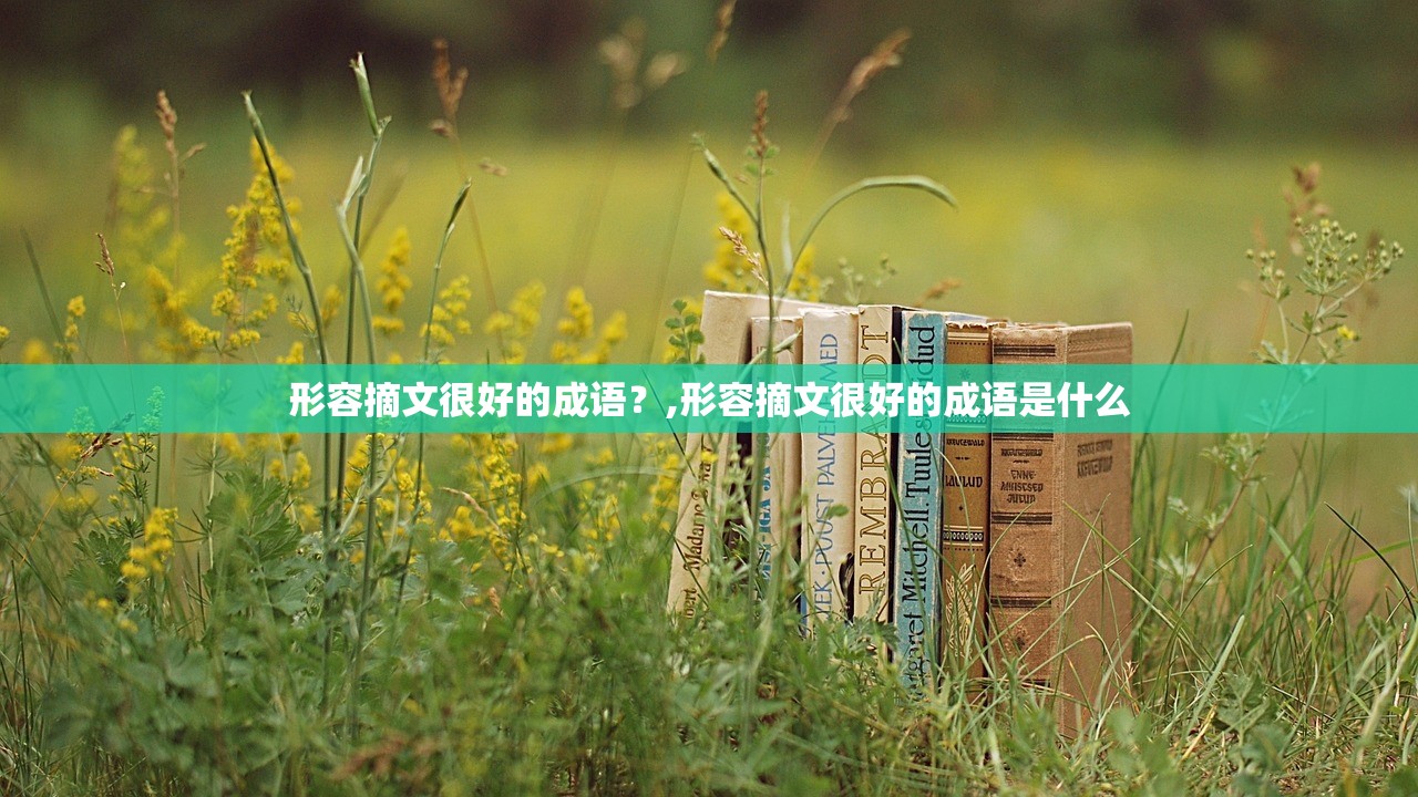 形容摘文很好的成语？,形容摘文很好的成语是什么