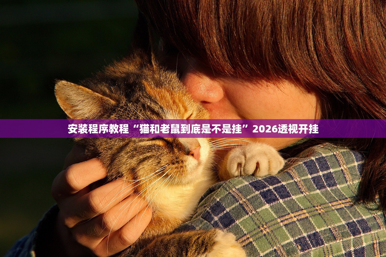安装程序教程“猫和老鼠到底是不是挂”2026透视开挂