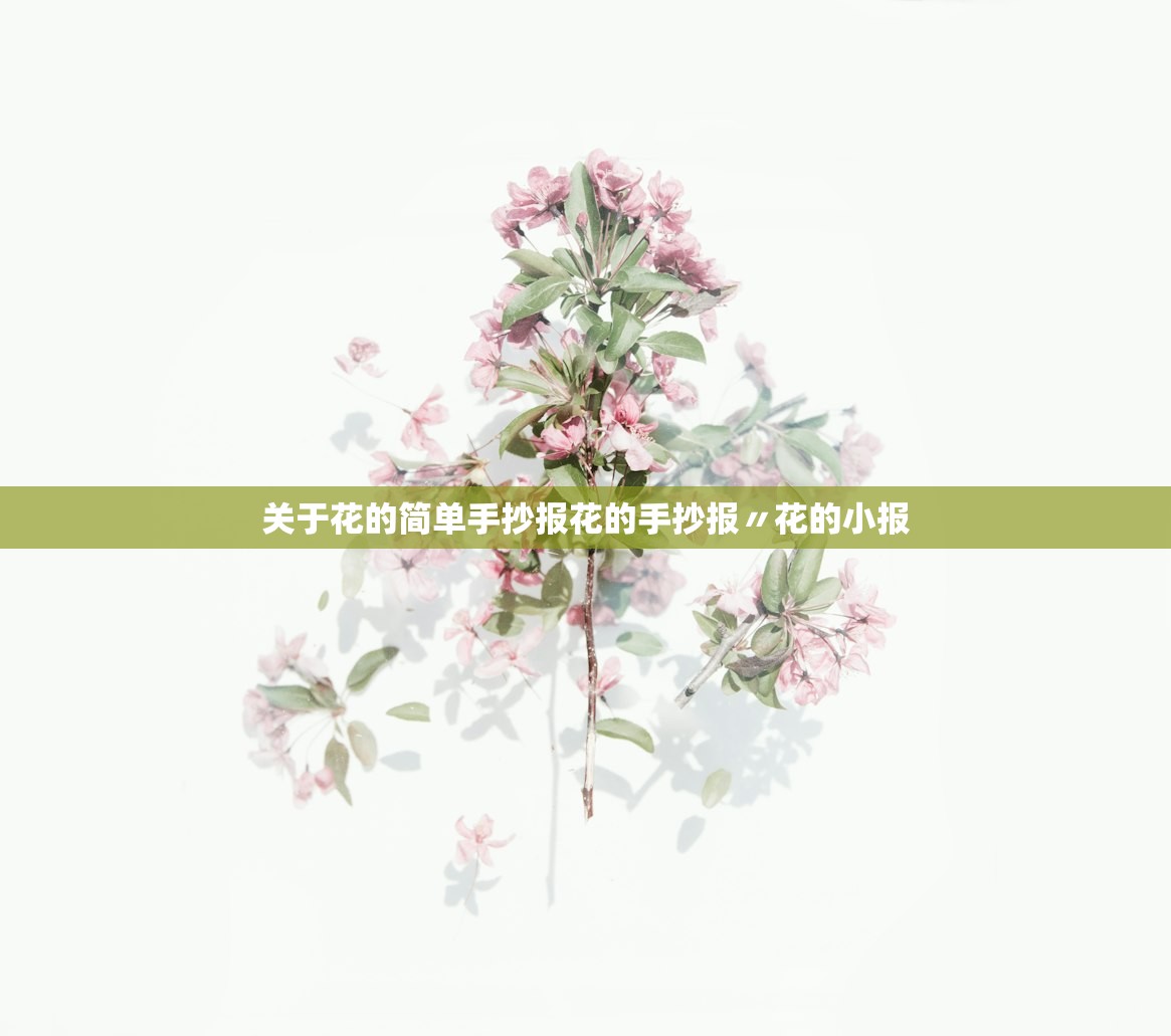 关于花的简单手抄报花的手抄报〃花的小报