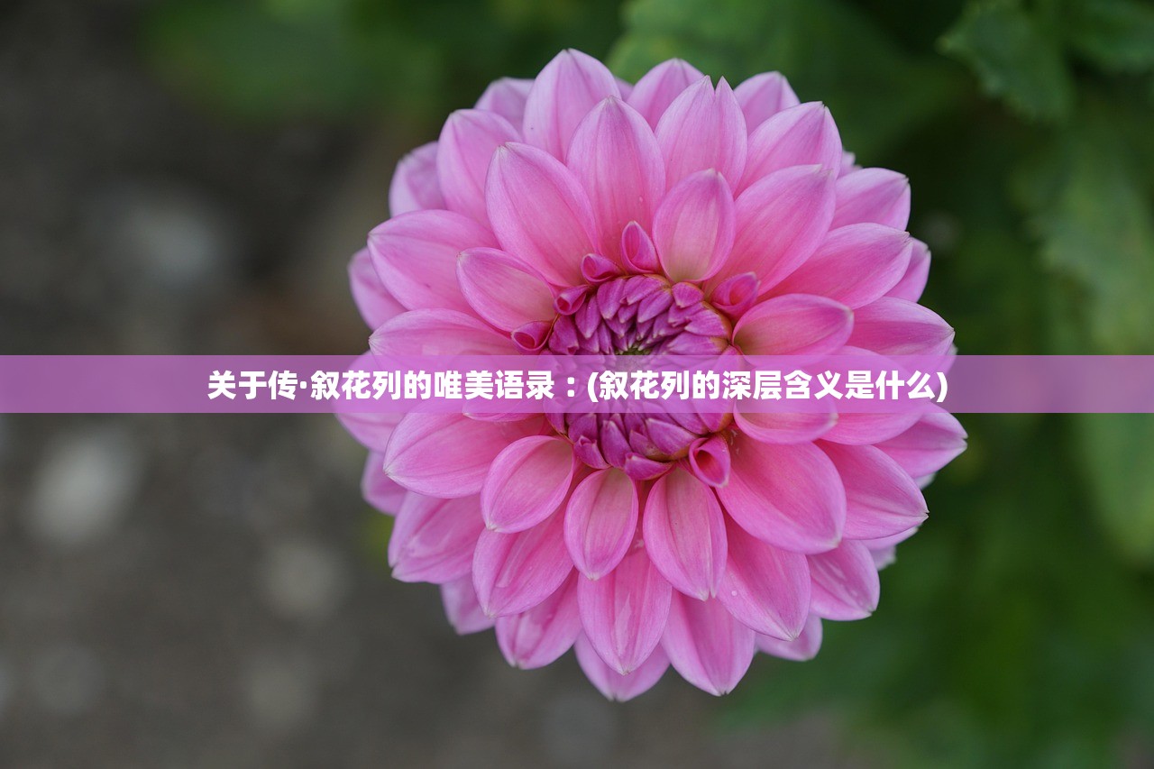 关于传·叙花列的唯美语录︰(叙花列的深层含义是什么)