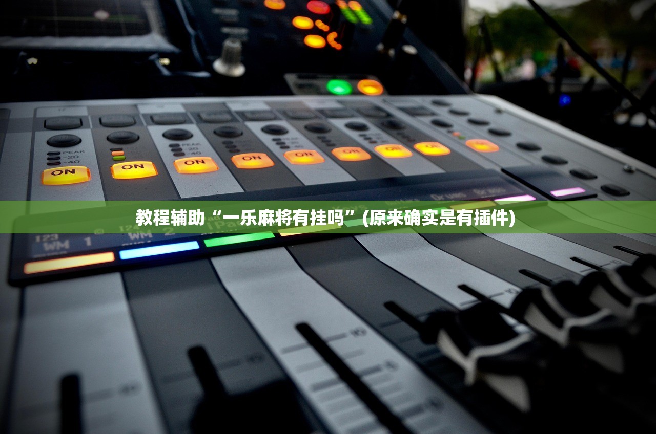 教程辅助“一乐麻将有挂吗	”(原来确实是有插件) 