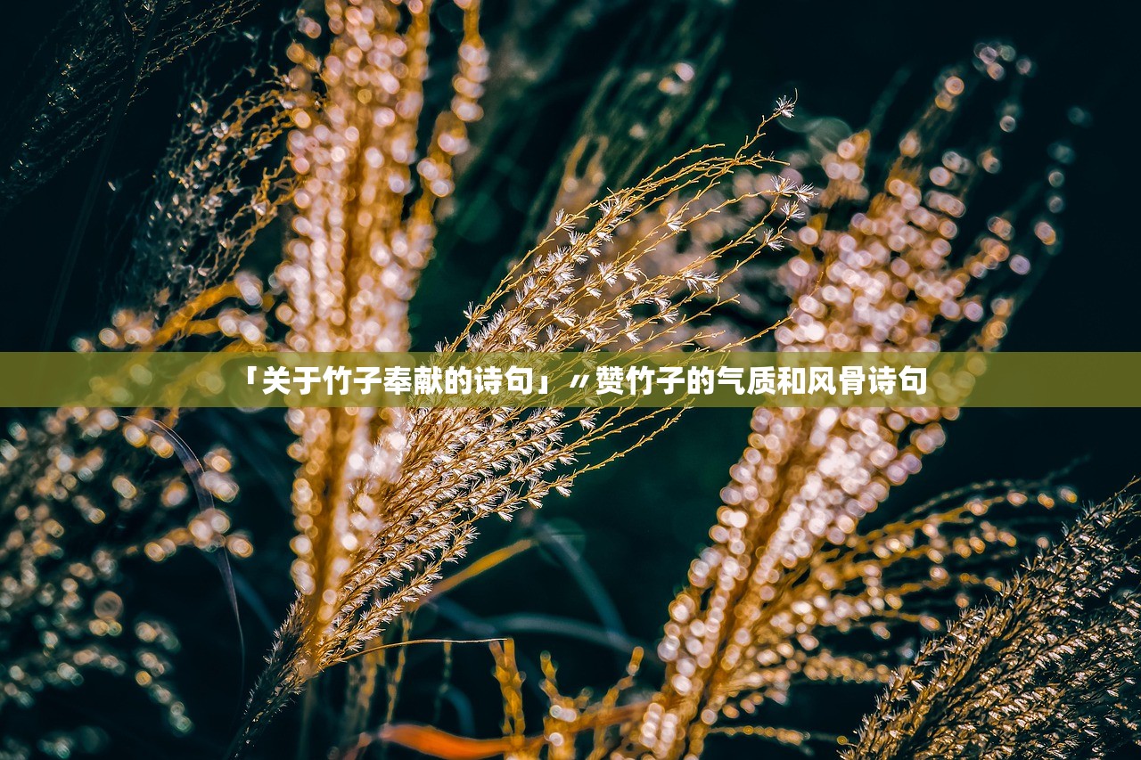 「关于竹子奉献的诗句」〃赞竹子的气质和风骨诗句 「关于竹子奉献的诗句」〃赞竹子的气质和风骨诗句