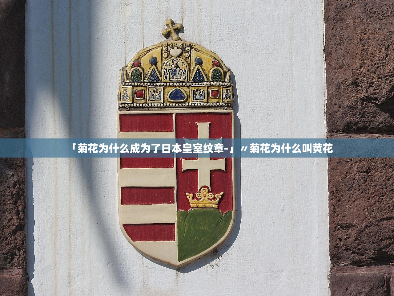 「菊花为什么成为了日本皇室纹章-」〃菊花为什么叫黄花