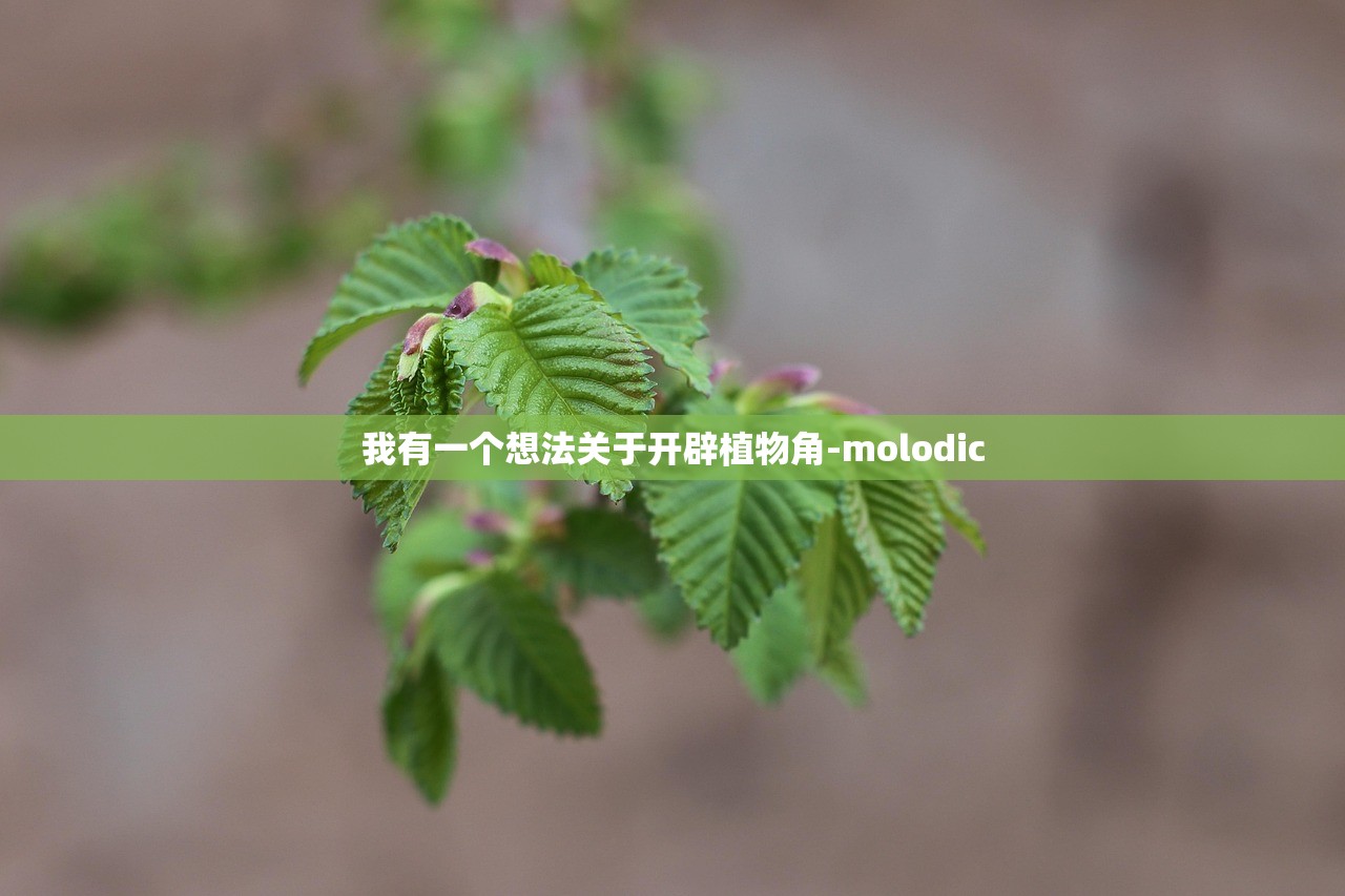 我有一个想法关于开辟植物角-molodic