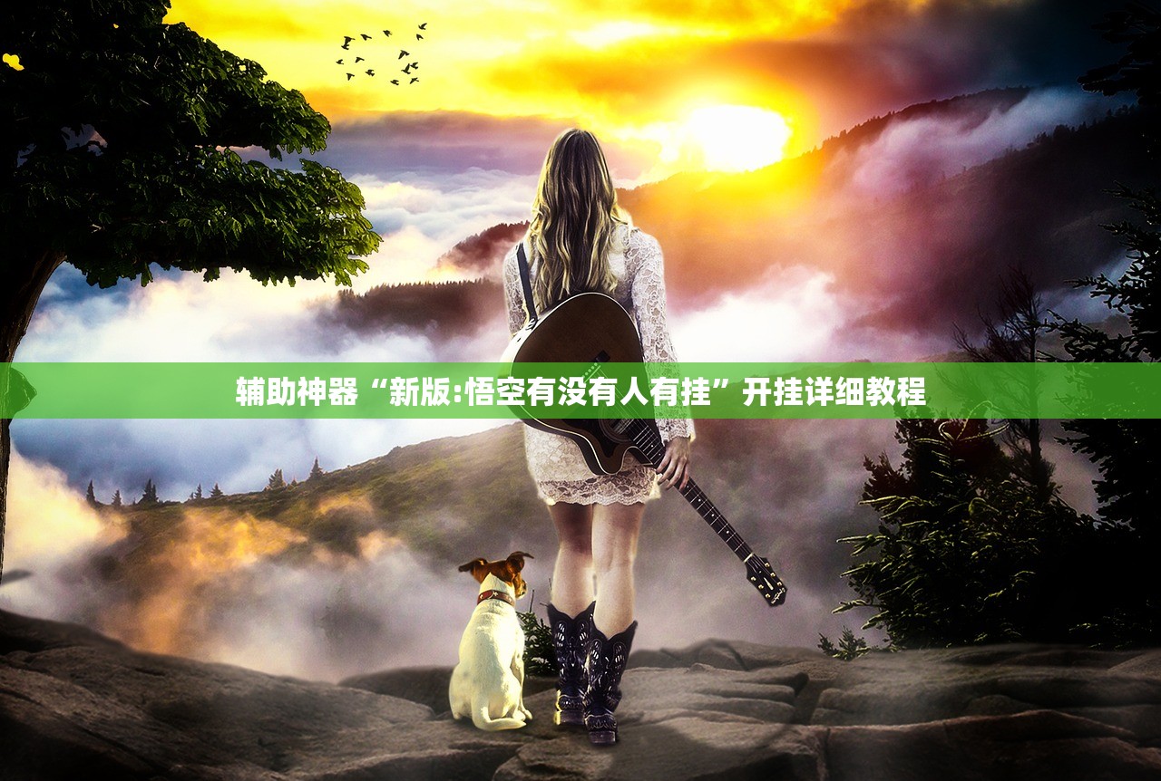 辅助神器“新版:悟空有没有人有挂”开挂详细教程