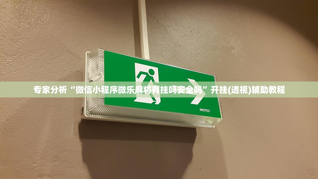 专家分析“微信小程序微乐麻将有挂吗安全吗”开挂(透视)辅助教程