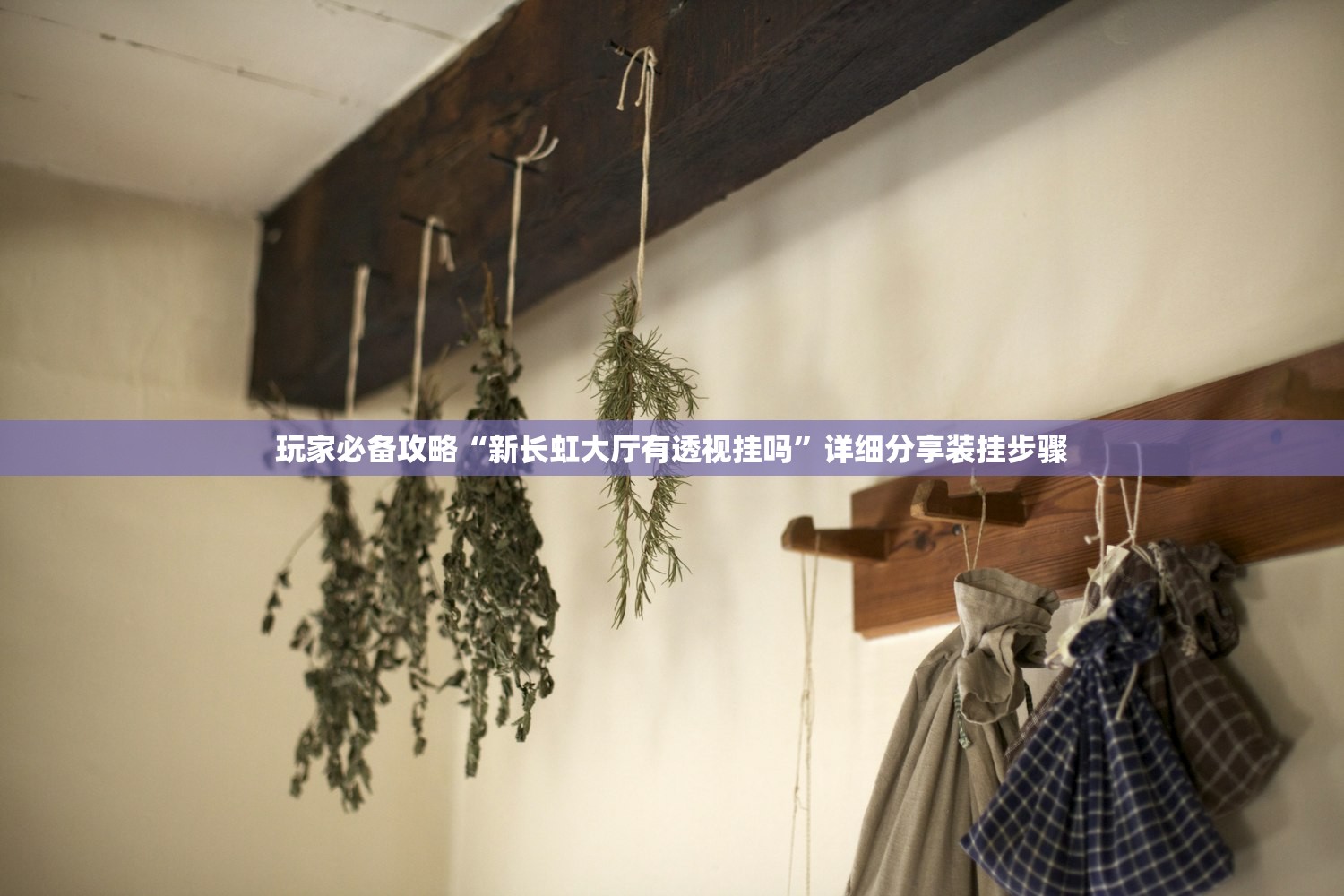 玩家必备攻略“新长虹大厅有透视挂吗”详细分享装挂步骤