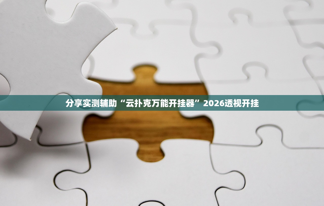 分享实测辅助“云扑克万能开挂器”2026透视开挂