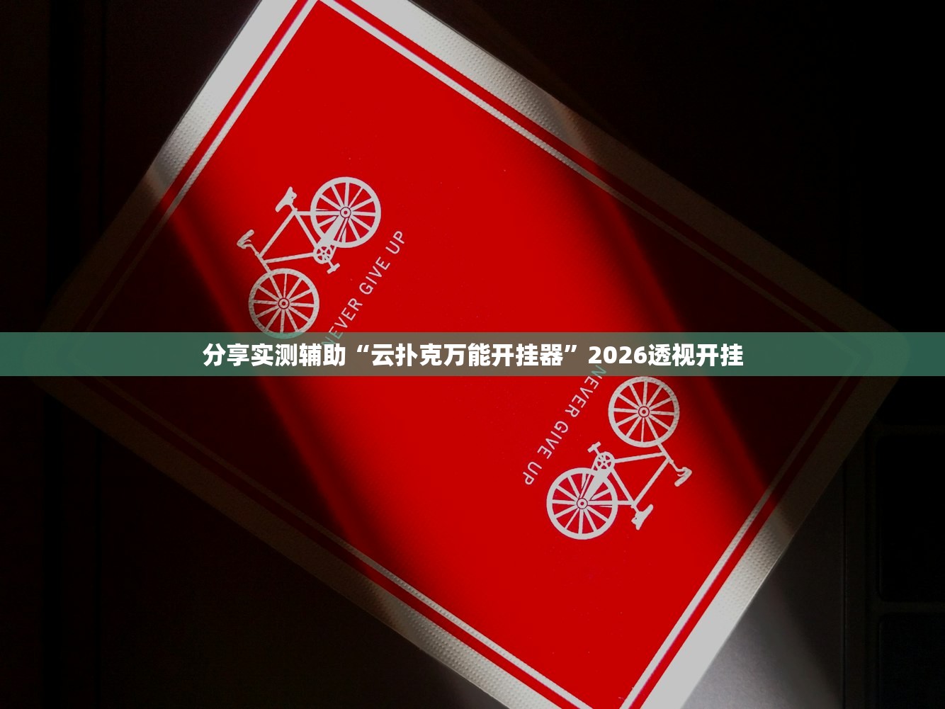 分享实测辅助“云扑克万能开挂器”2026透视开挂