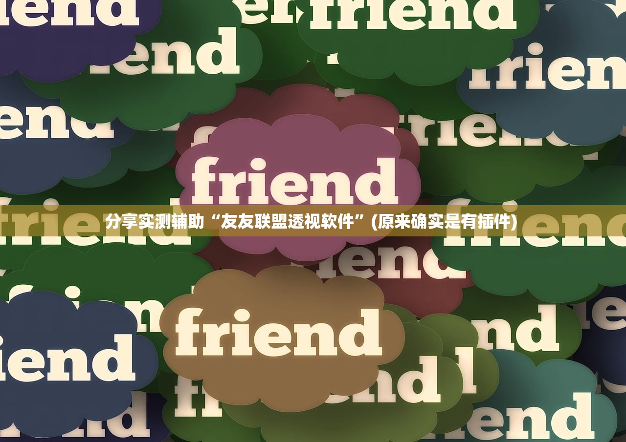 分享实测辅助“友友联盟透视软件”(原来确实是有插件) 