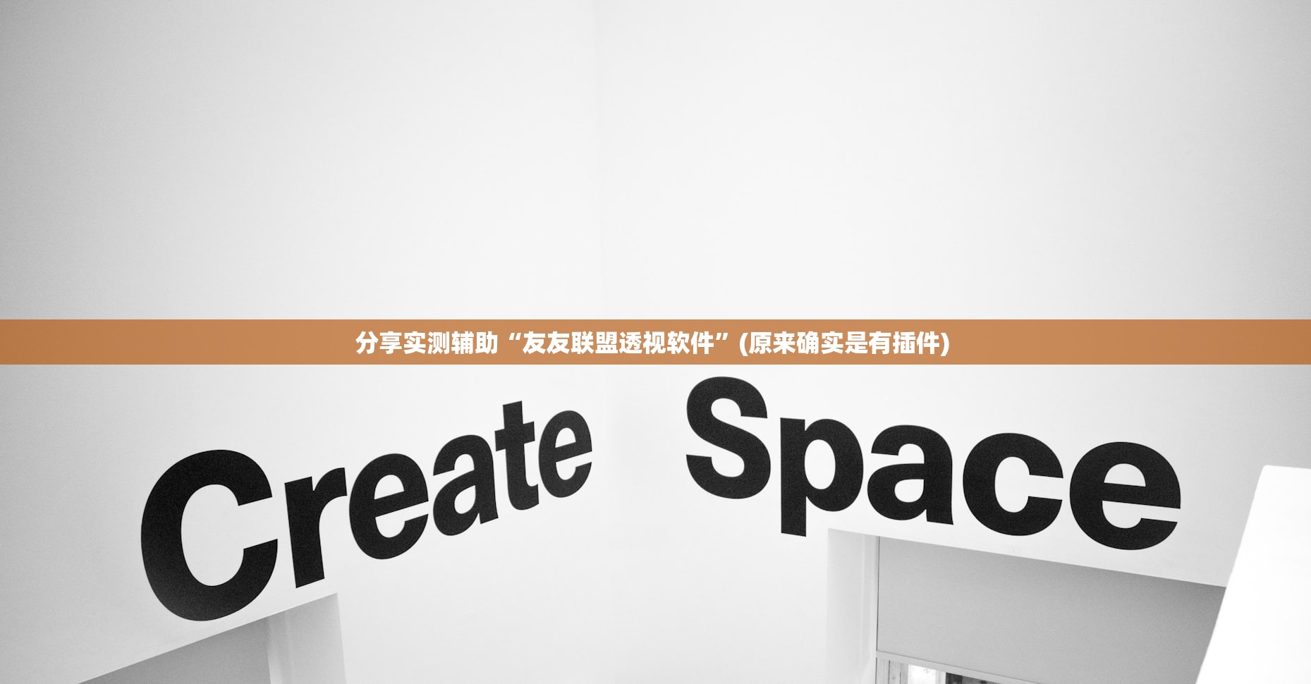 分享实测辅助“友友联盟透视软件	”(原来确实是有插件) 