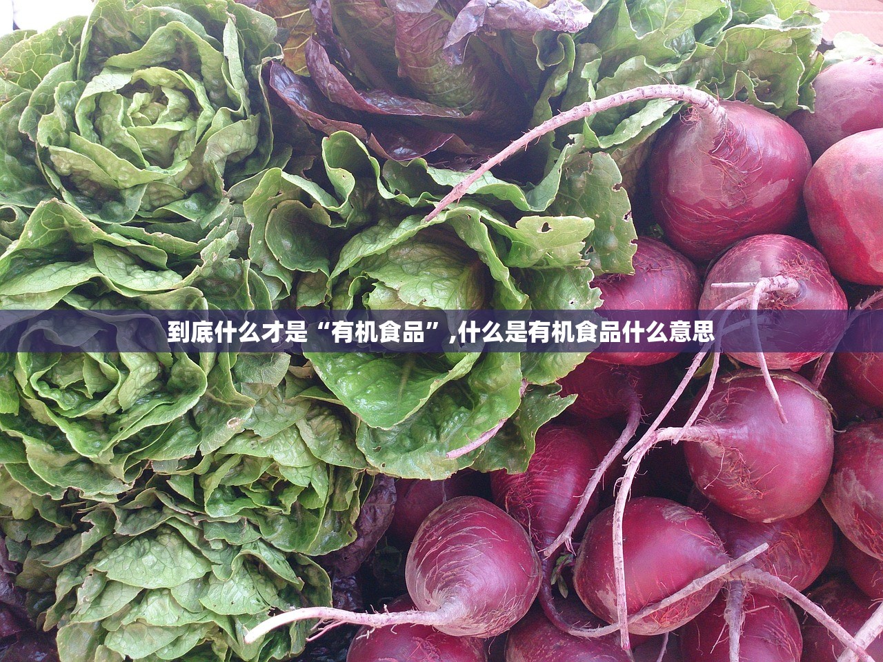 到底什么才是“有机食品”,什么是有机食品什么意思
