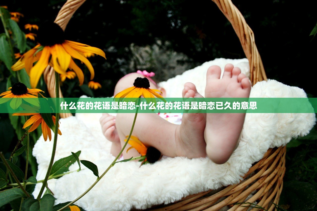 什么花的花语是暗恋-什么花的花语是暗恋已久的意思