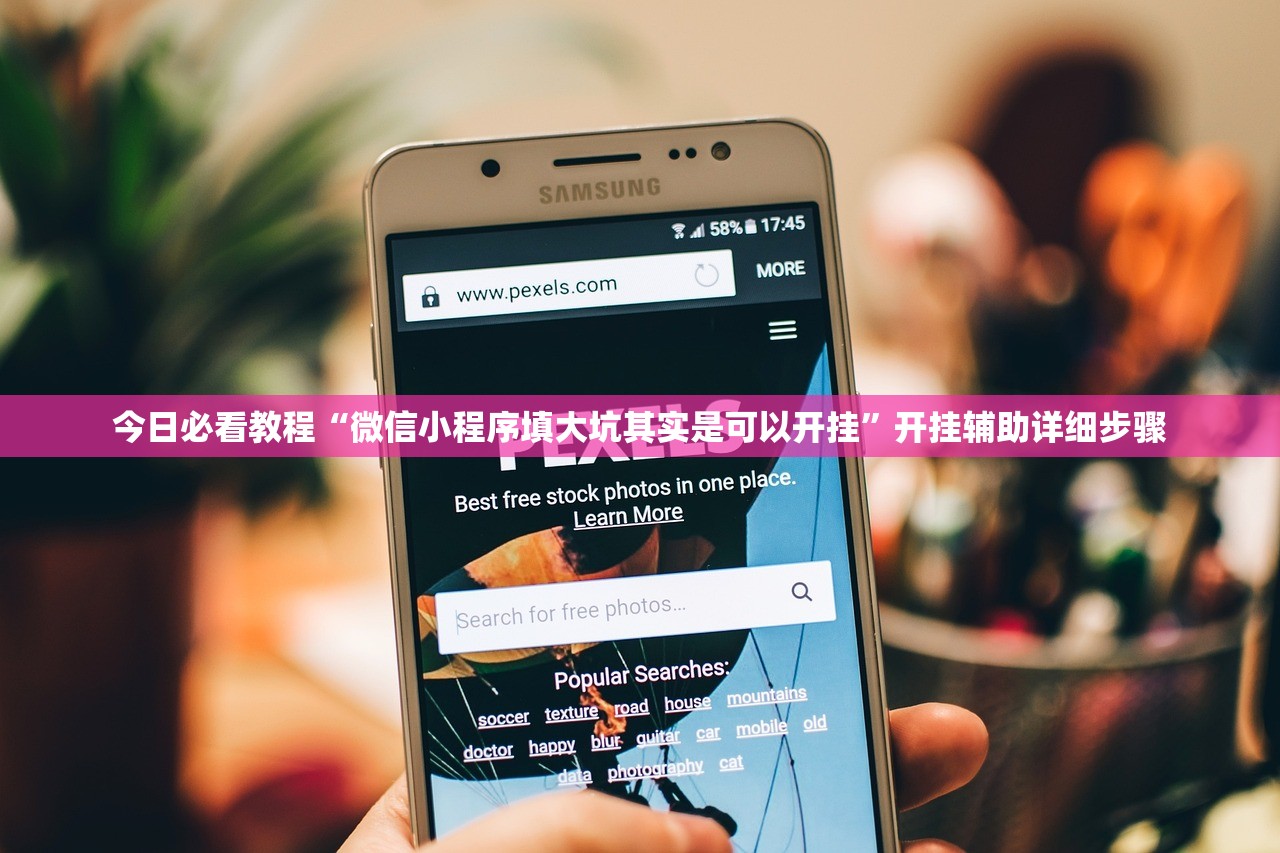 今日必看教程“微信小程序填大坑其实是可以开挂”开挂辅助详细步骤