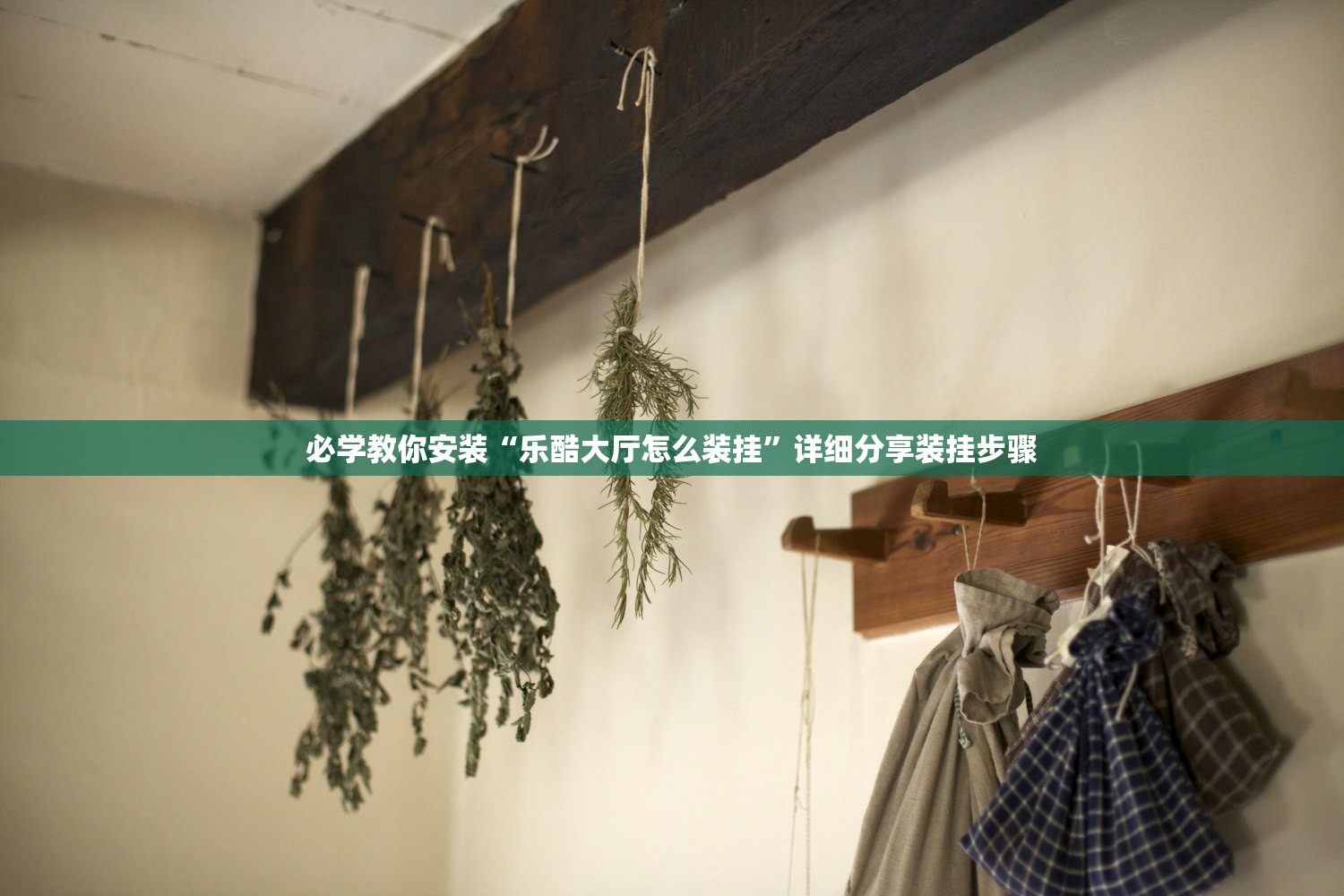必学教你安装“乐酷大厅怎么装挂	”详细分享装挂步骤