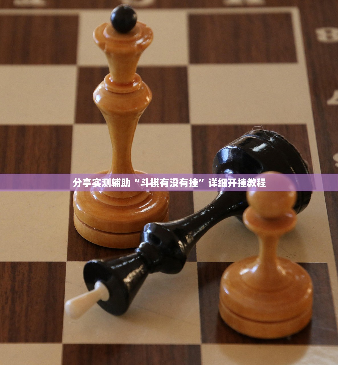 分享实测辅助“斗棋有没有挂	”详细开挂教程