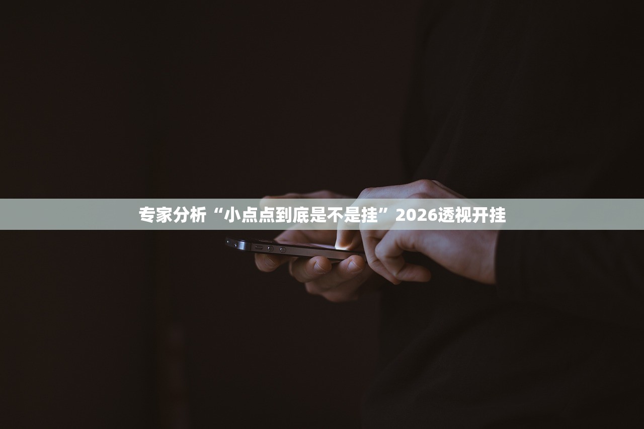 专家分析“小点点到底是不是挂”2026透视开挂