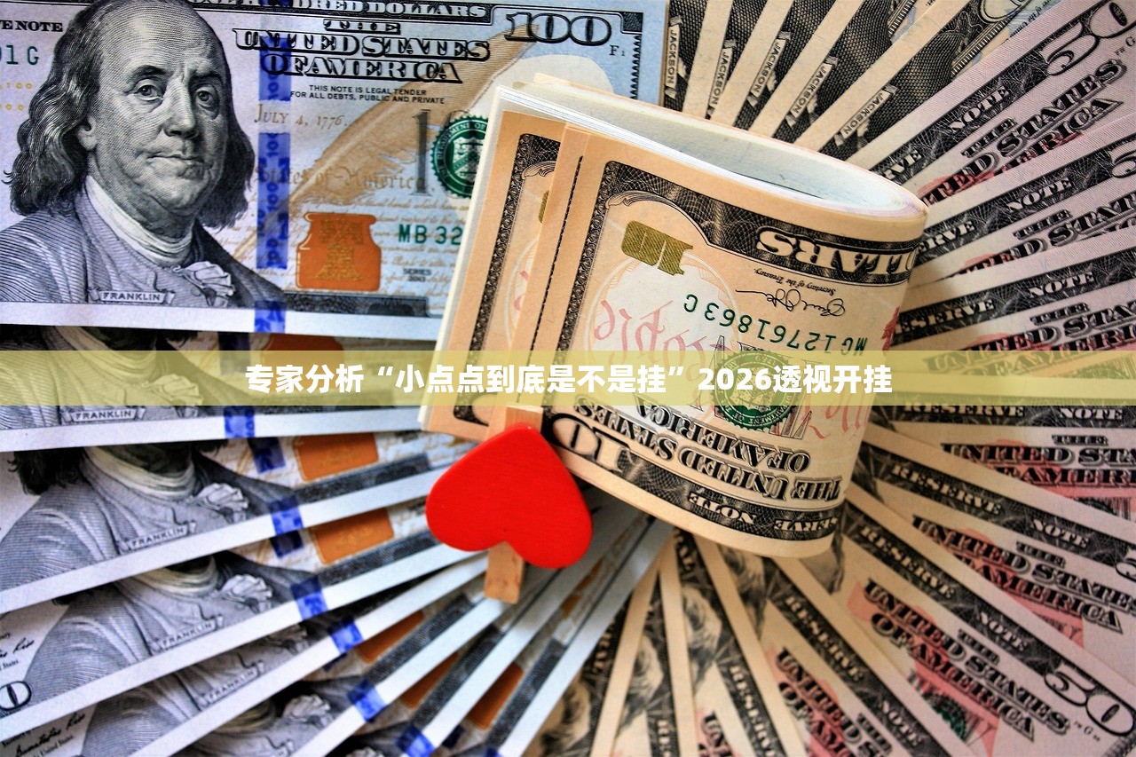 专家分析“小点点到底是不是挂	”2026透视开挂