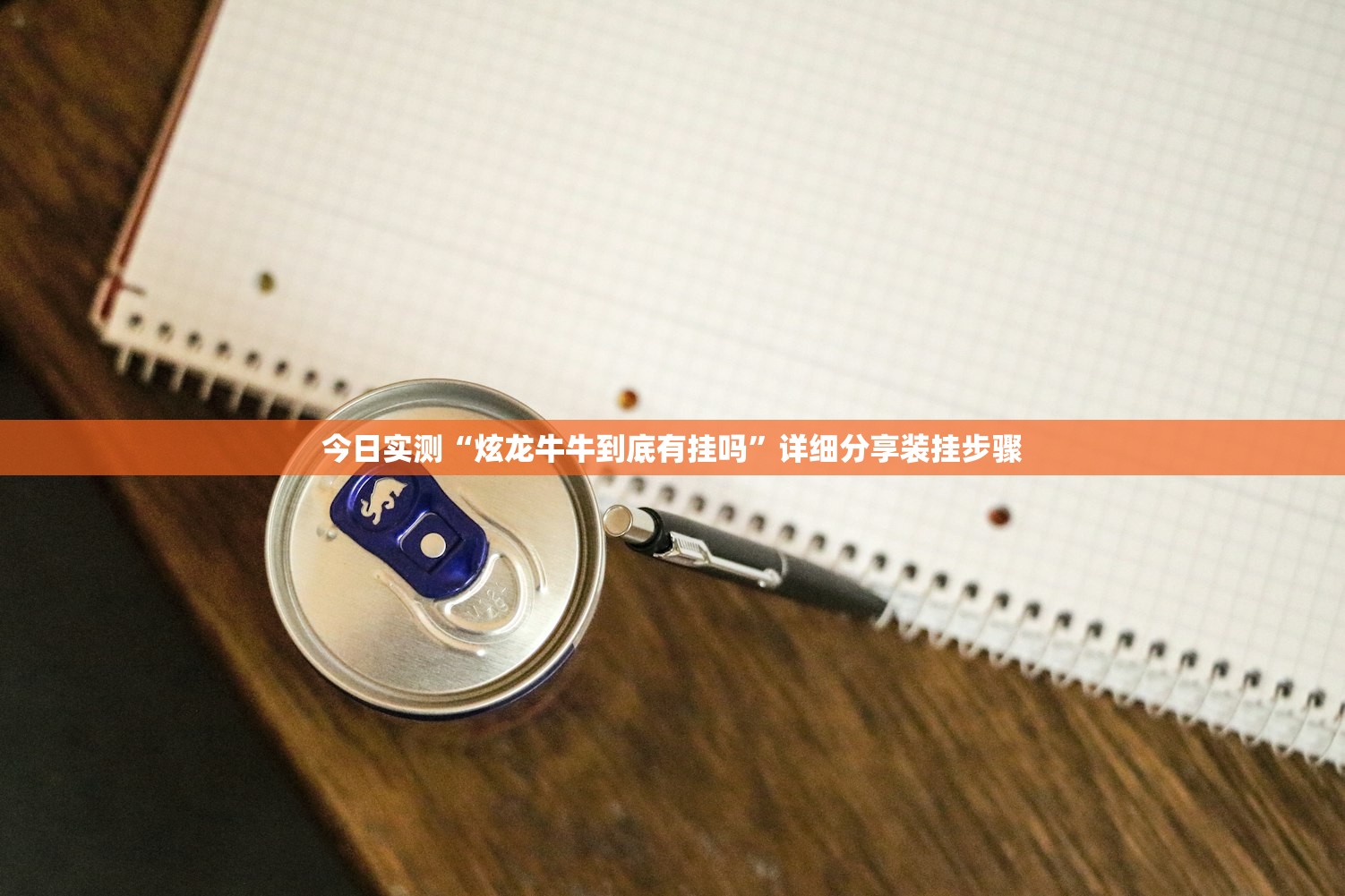 今日实测“炫龙牛牛到底有挂吗”详细分享装挂步骤