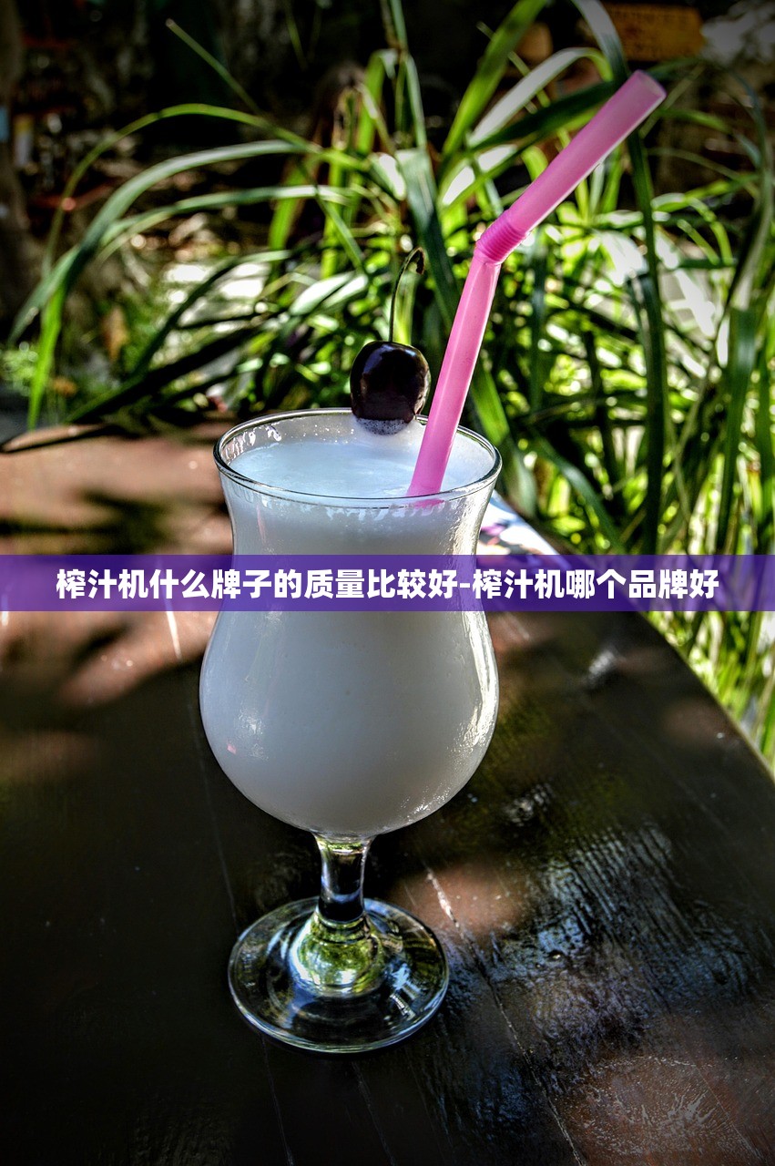 榨汁机什么牌子的质量比较好-榨汁机哪个品牌好 榨汁机什么牌子的质量比较好-榨汁机哪个品牌好