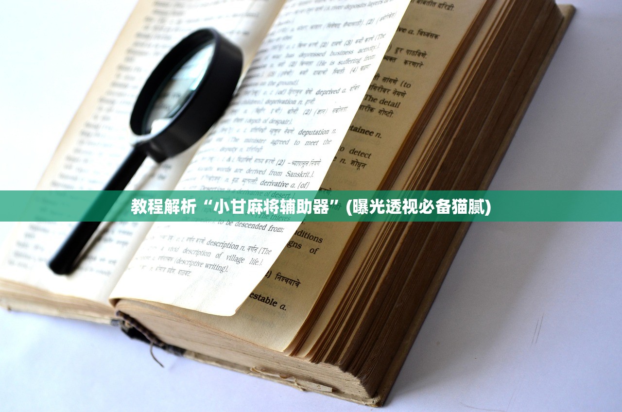 教程解析“小甘麻将辅助器”(曝光透视必备猫腻)