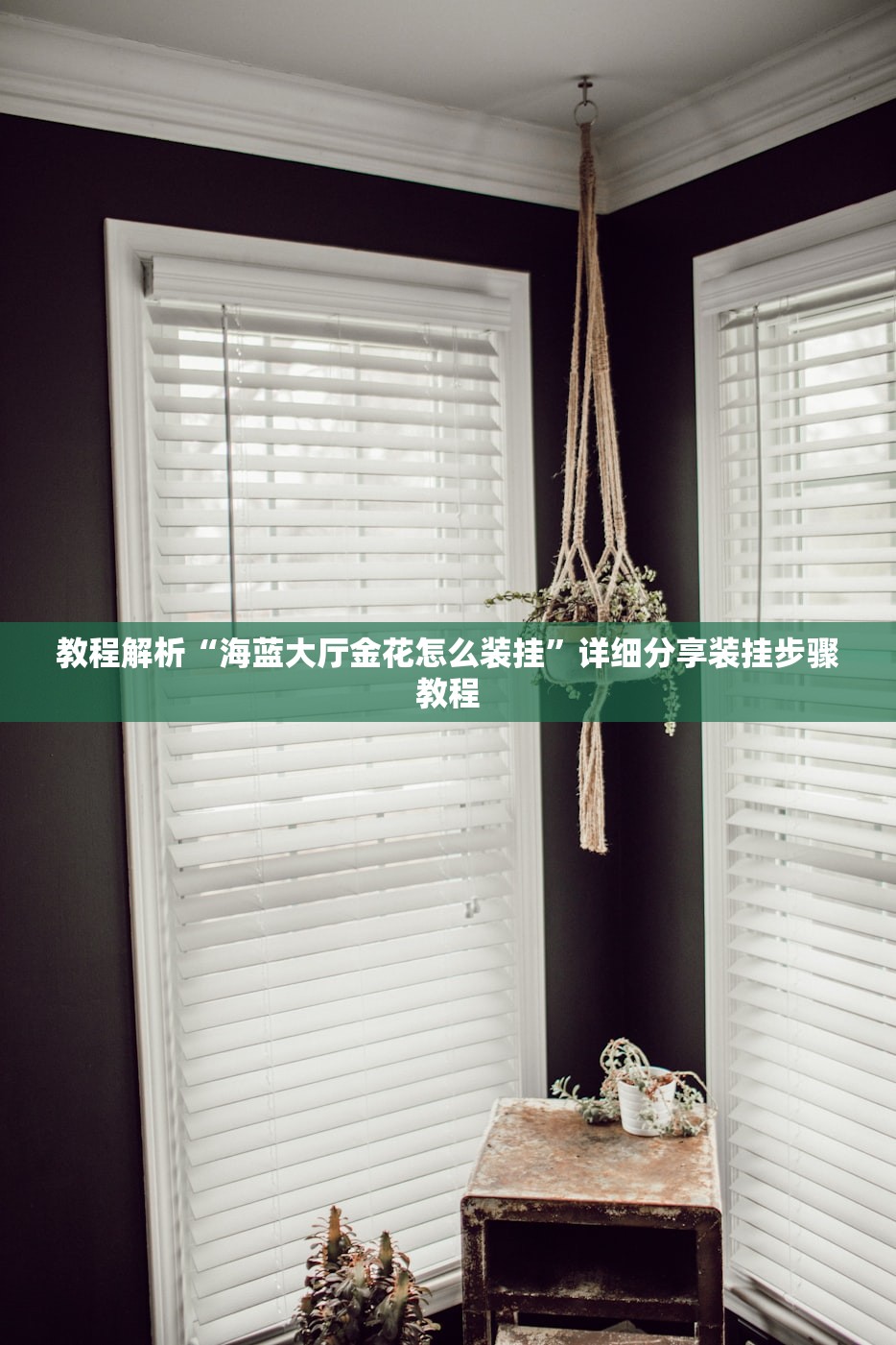教程解析“海蓝大厅金花怎么装挂”详细分享装挂步骤教程