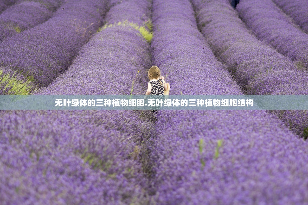 无叶绿体的三种植物细胞.无叶绿体的三种植物细胞结构 无叶绿体的三种植物细胞.无叶绿体的三种植物细胞结构