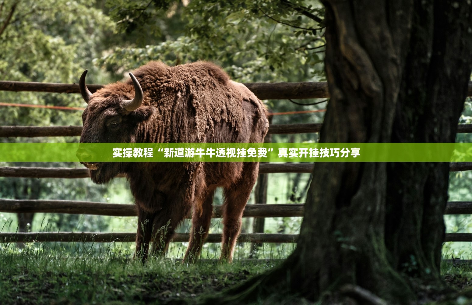 实操教程“新道游牛牛透视挂免费”真实开挂技巧分享