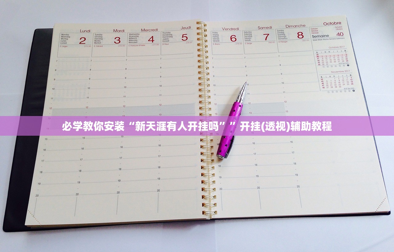 必学教你安装“新天涯有人开挂吗”	”开挂(透视)辅助教程
