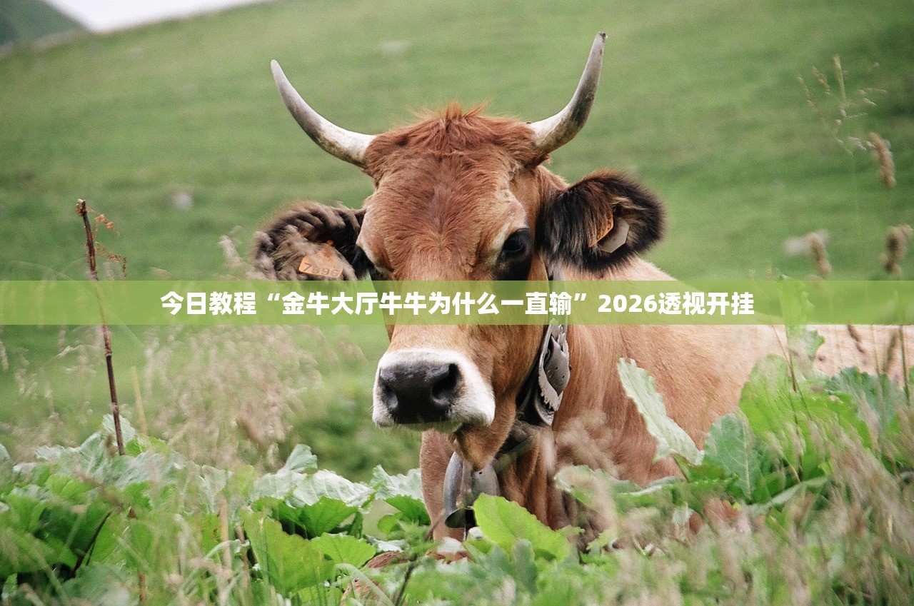 今日教程“金牛大厅牛牛为什么一直输”2026透视开挂