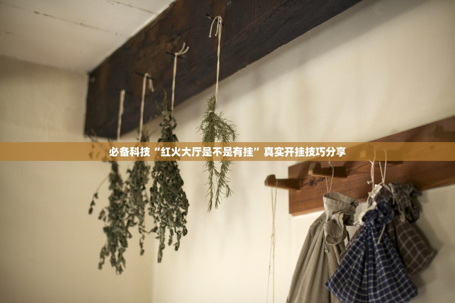 必备科技“红火大厅是不是有挂”真实开挂技巧分享