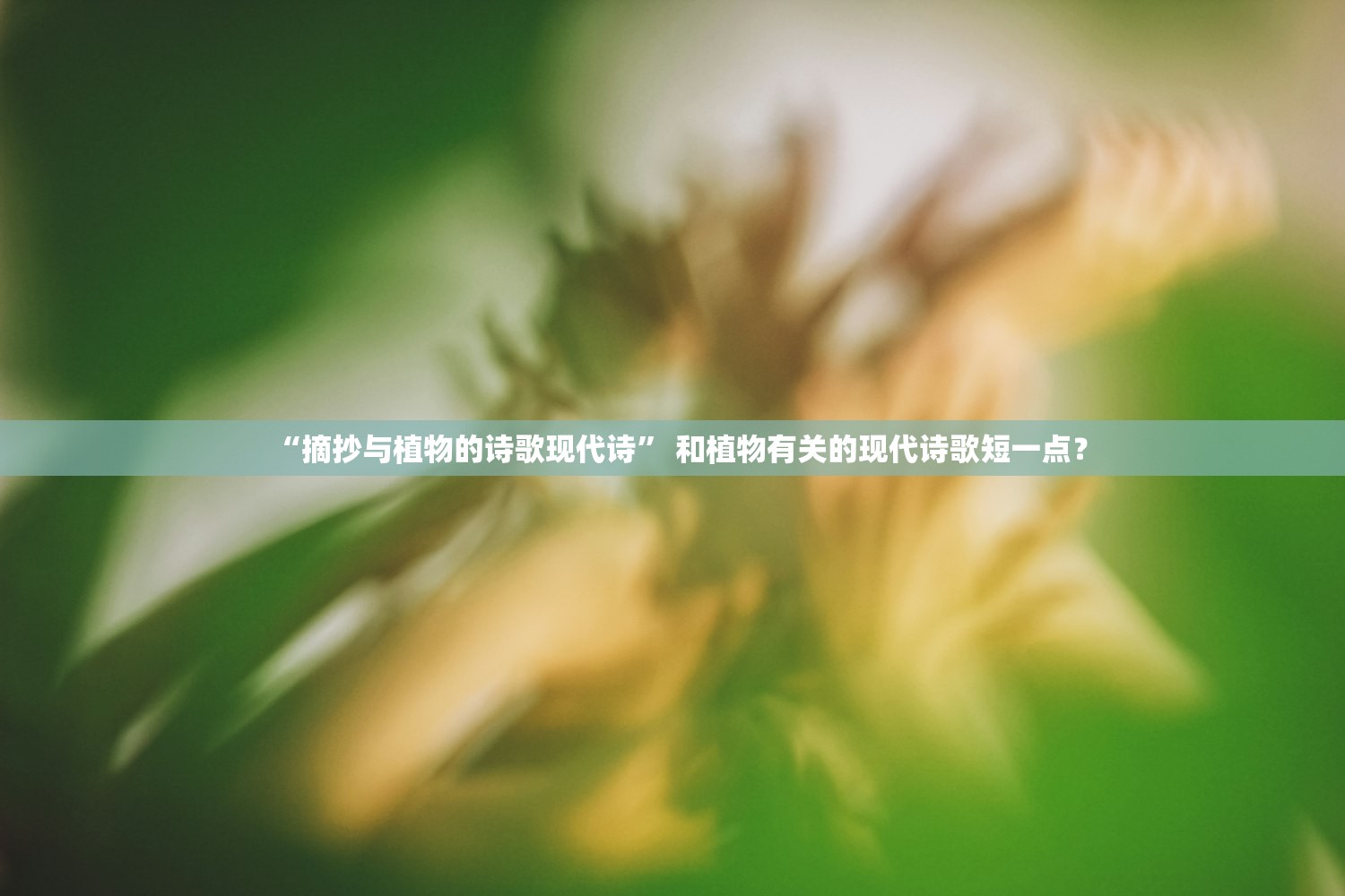 “摘抄与植物的诗歌现代诗	” 和植物有关的现代诗歌短一点？