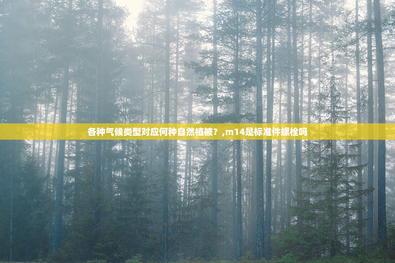 各种气候类型对应何种自然植被?,m14是标准件螺栓吗 各种气候类型对应何种自然植被?,m14是标准件螺栓吗