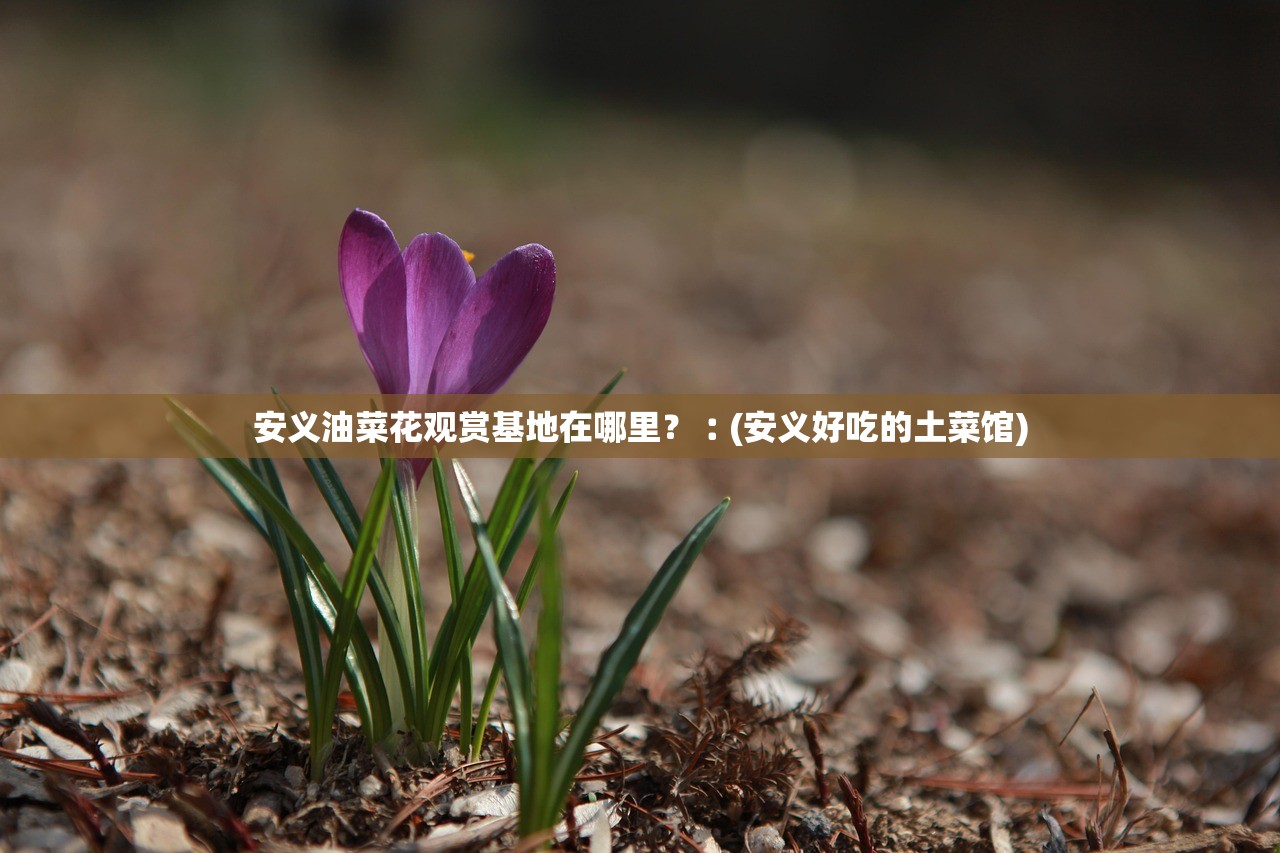 安义油菜花观赏基地在哪里？︰(安义好吃的土菜馆)