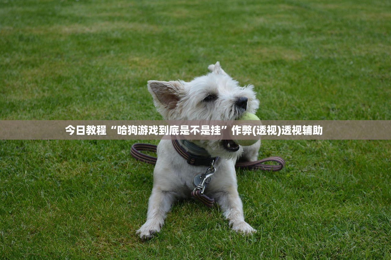 今日教程“哈狗游戏到底是不是挂”作弊(透视)透视辅助 